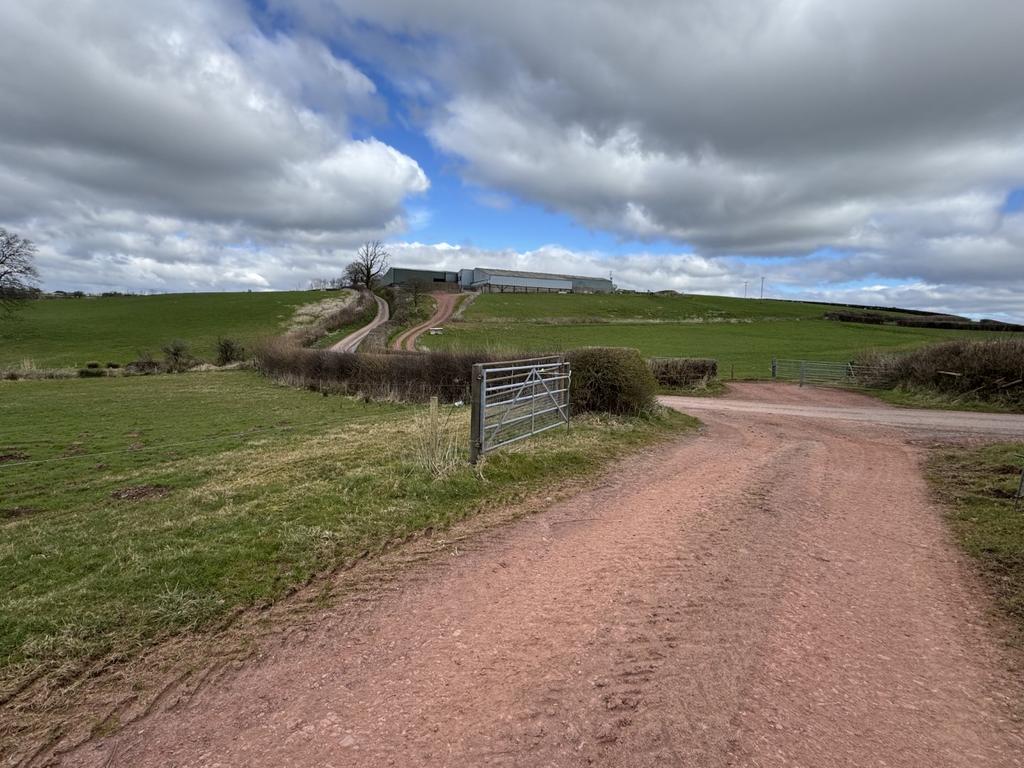Penrhiw farm land