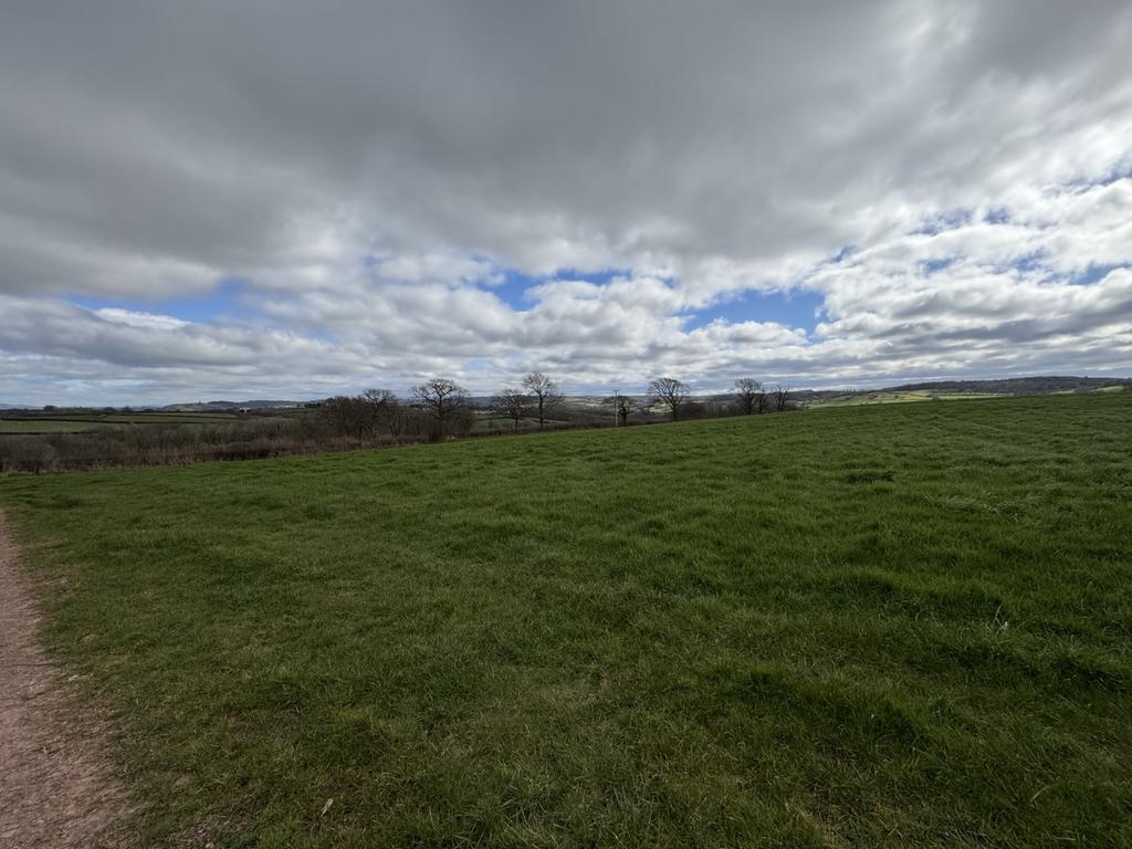 Penrhiw farm land