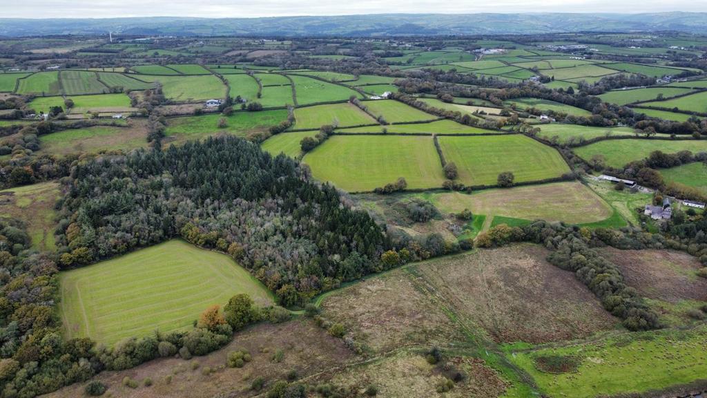 50 Acres