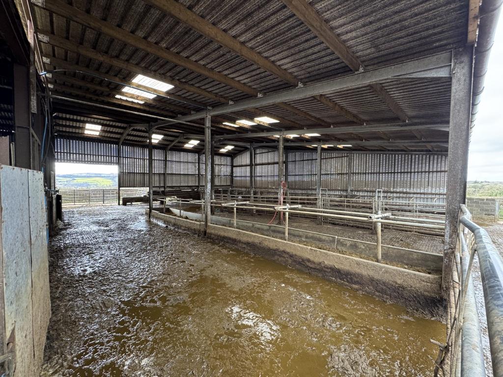 Cow Shed 1