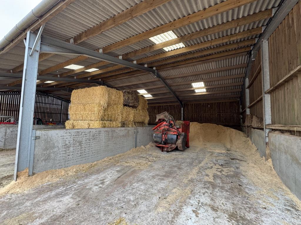 Open Store &amp; Feed Shed