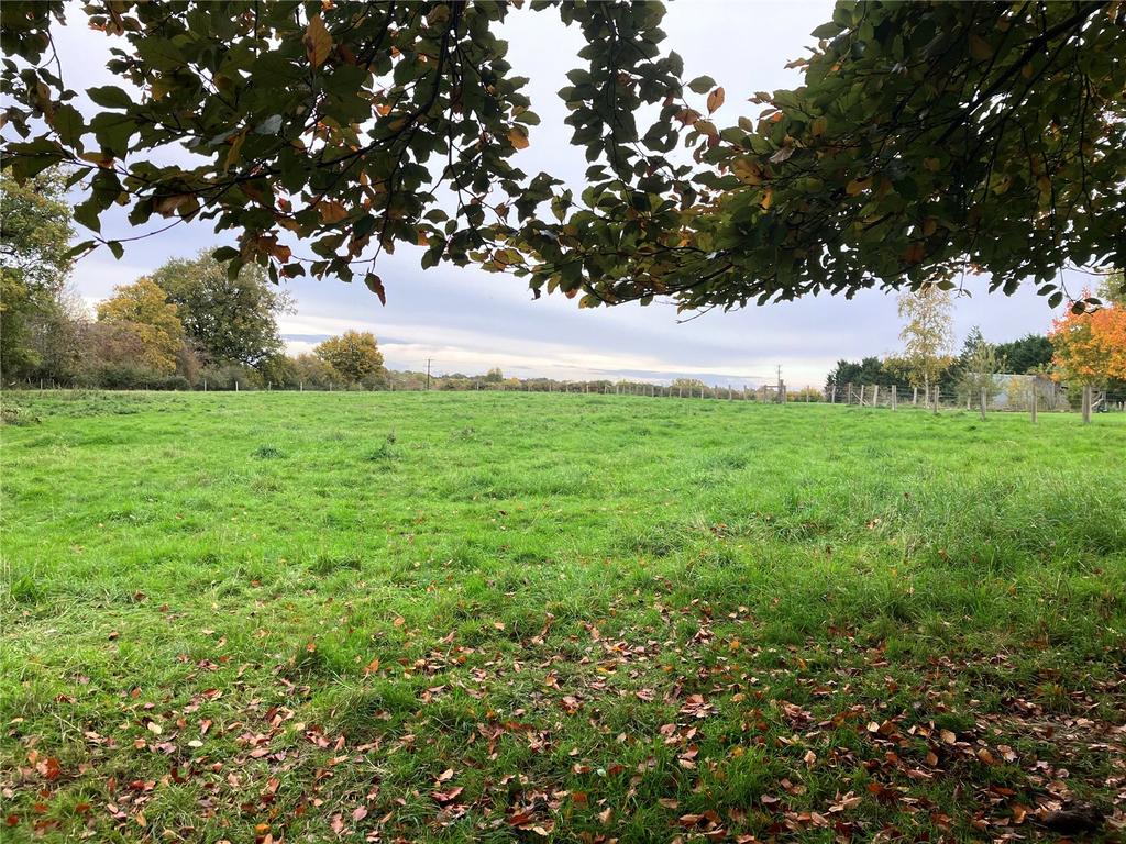 Rear of Property
