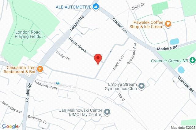 Google Maps Image