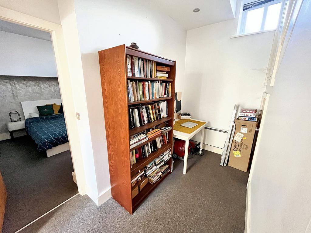 Study Area