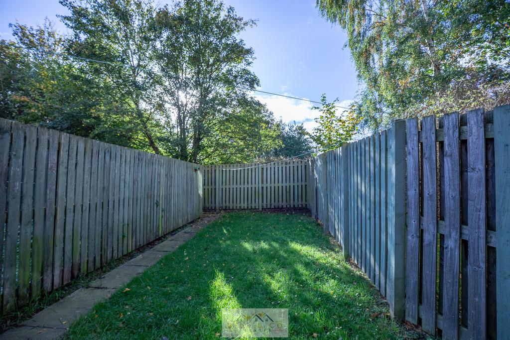 Back garden 1.1