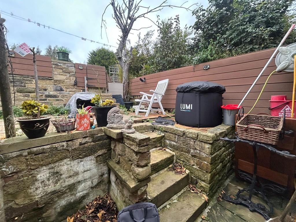 Back garden