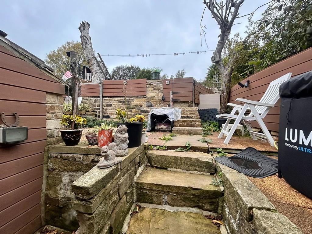 Back garden 1