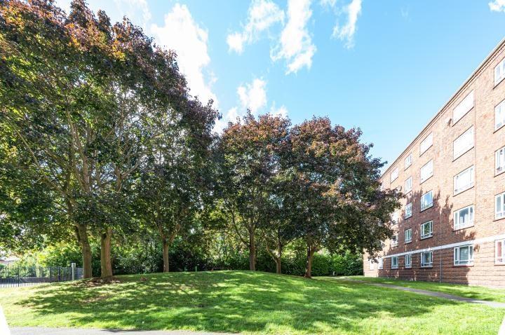 Chpk1732908 large-16-19 jpg