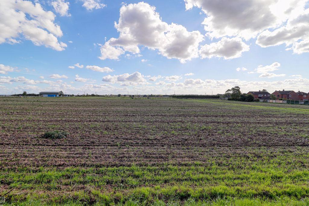 Field to the Rear