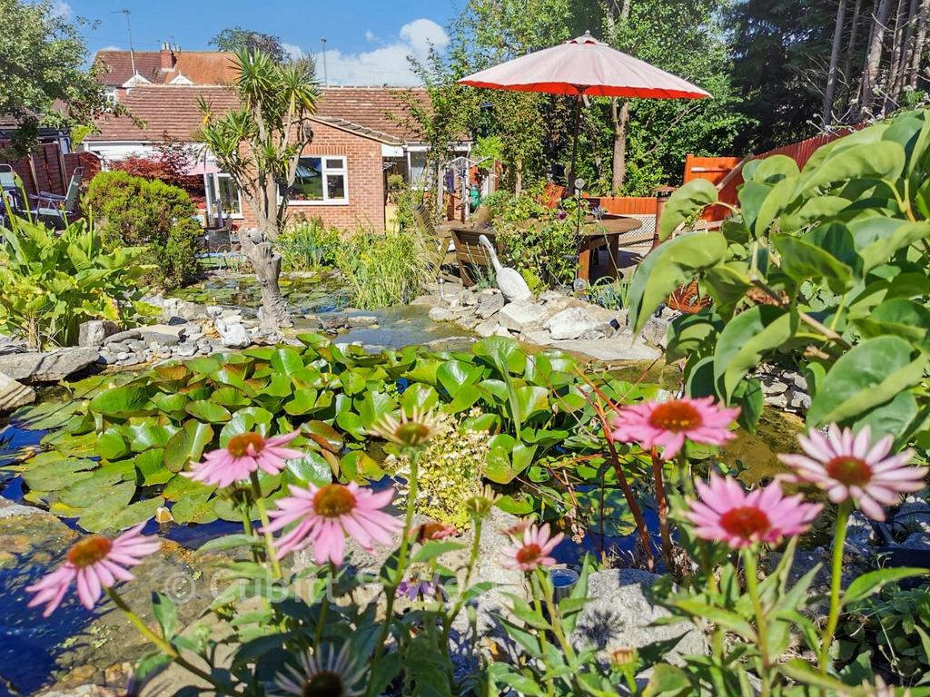 Garden 3