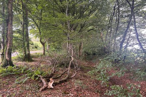 undefined, Raddington, Taunton, Somerset, TA4