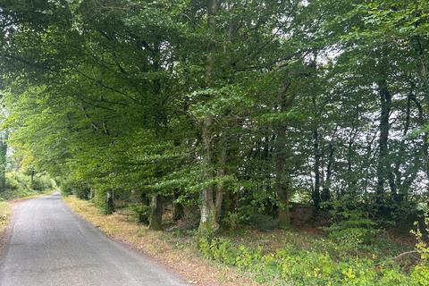 undefined, Raddington, Taunton, Somerset, TA4