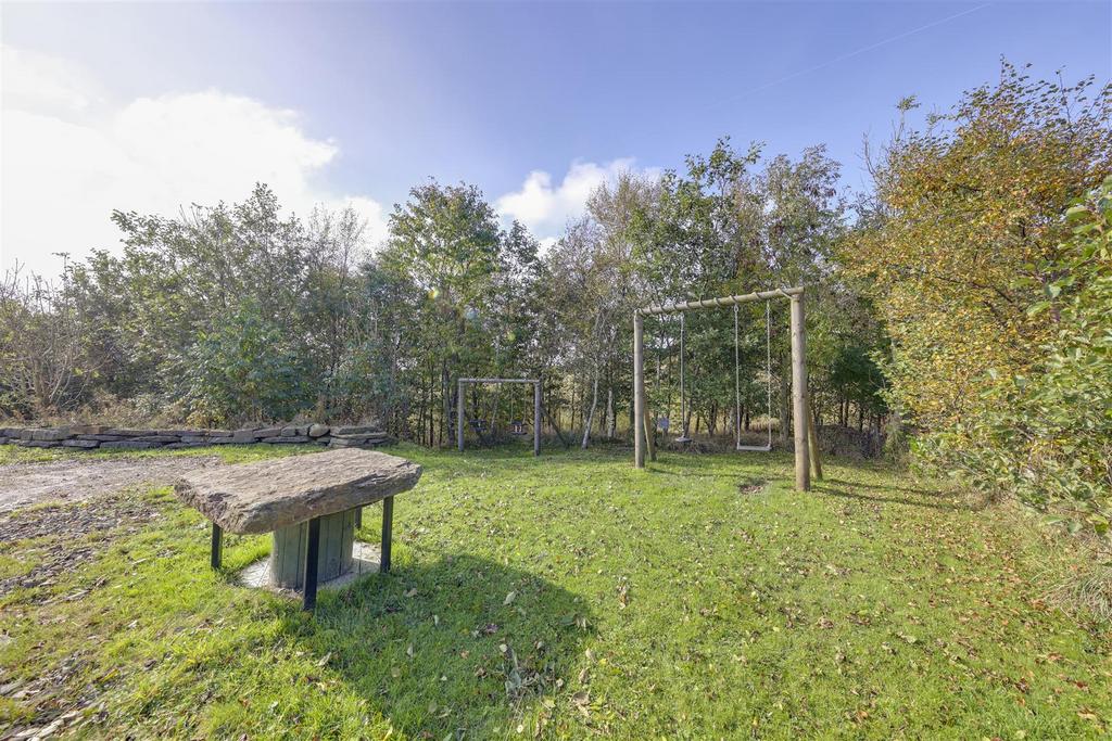 Play Area
