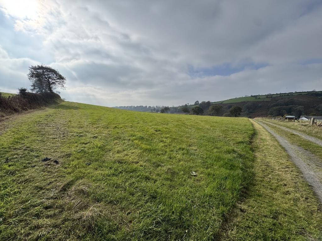 The land