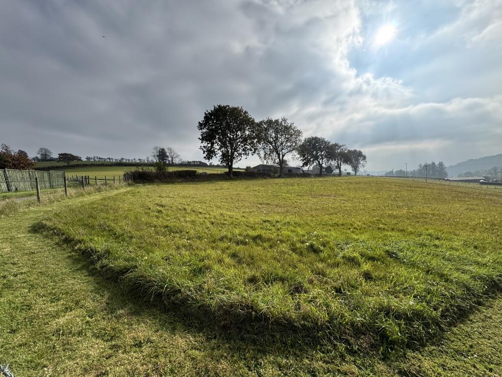 The land