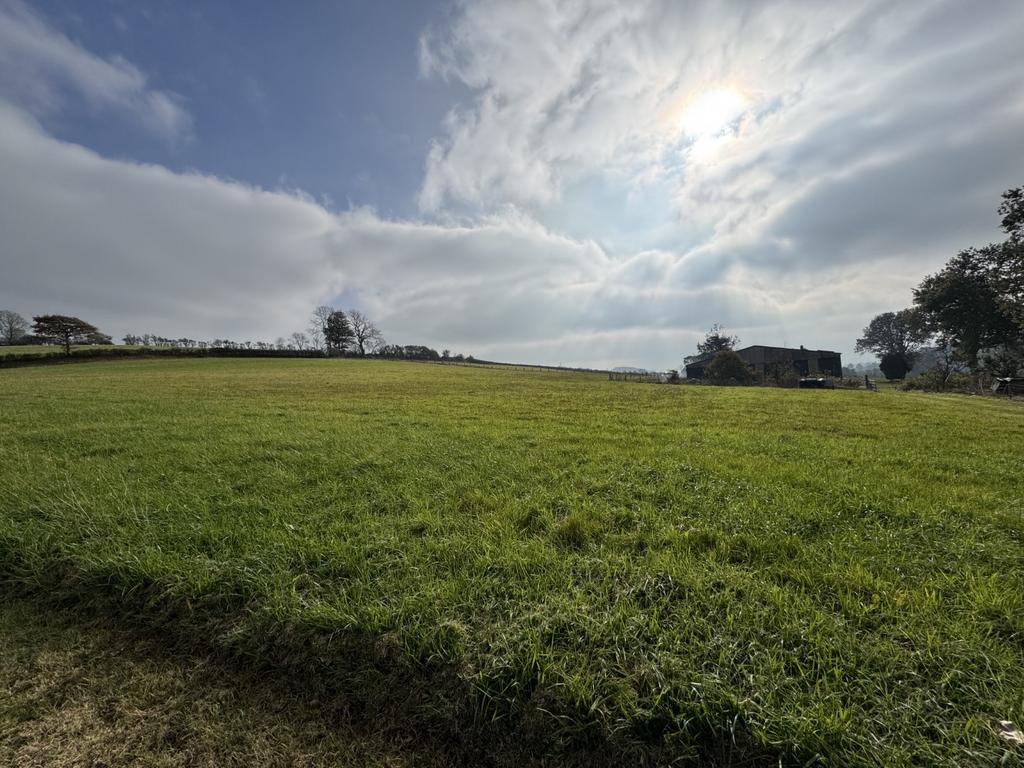 The land