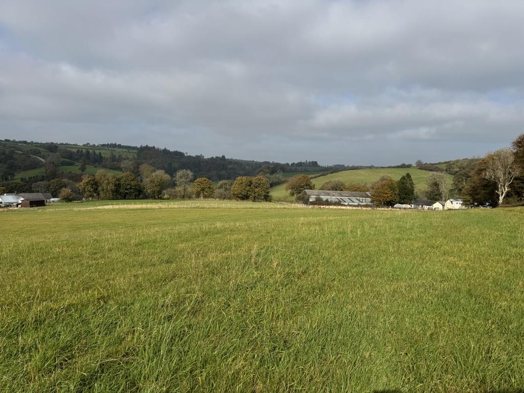 The land