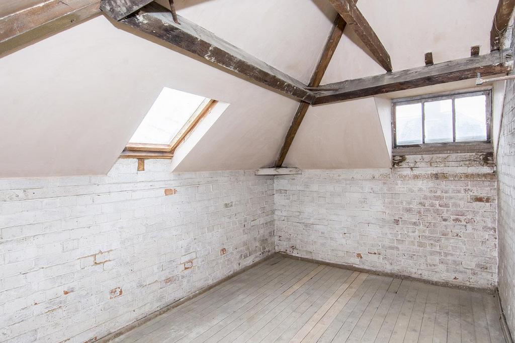 &#39;Stray Dog Room&#39;