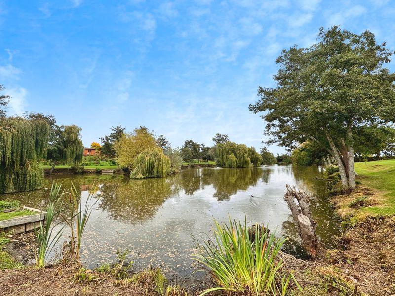 Homestead lake
