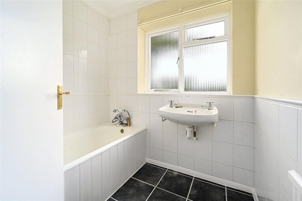Picture 15