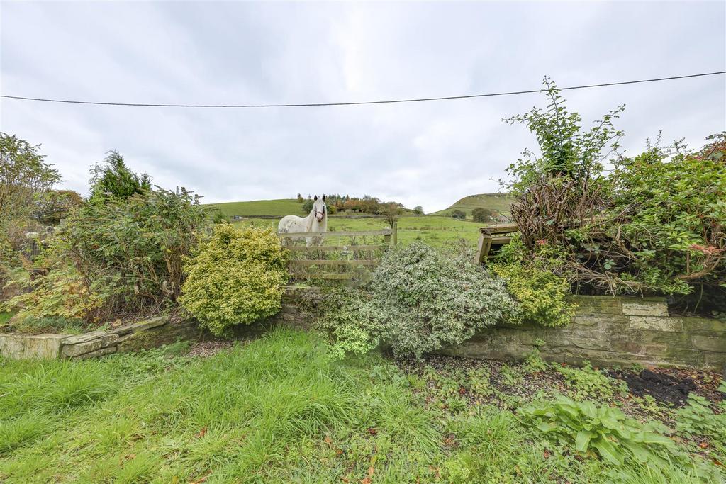 Rear Garden & View