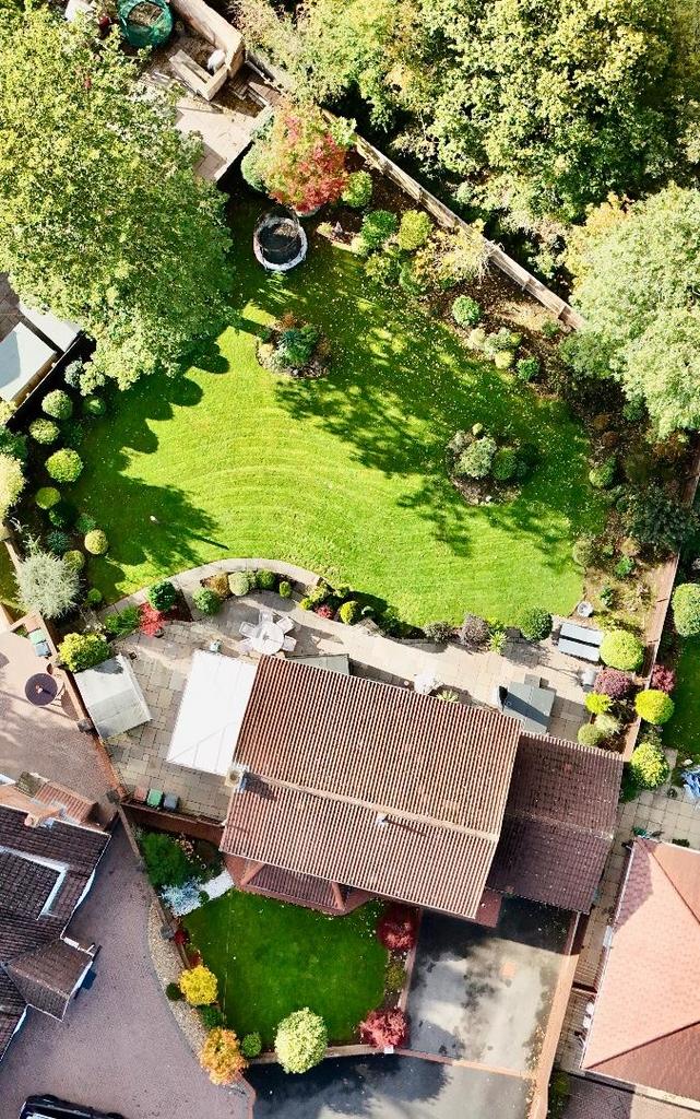 Plot view