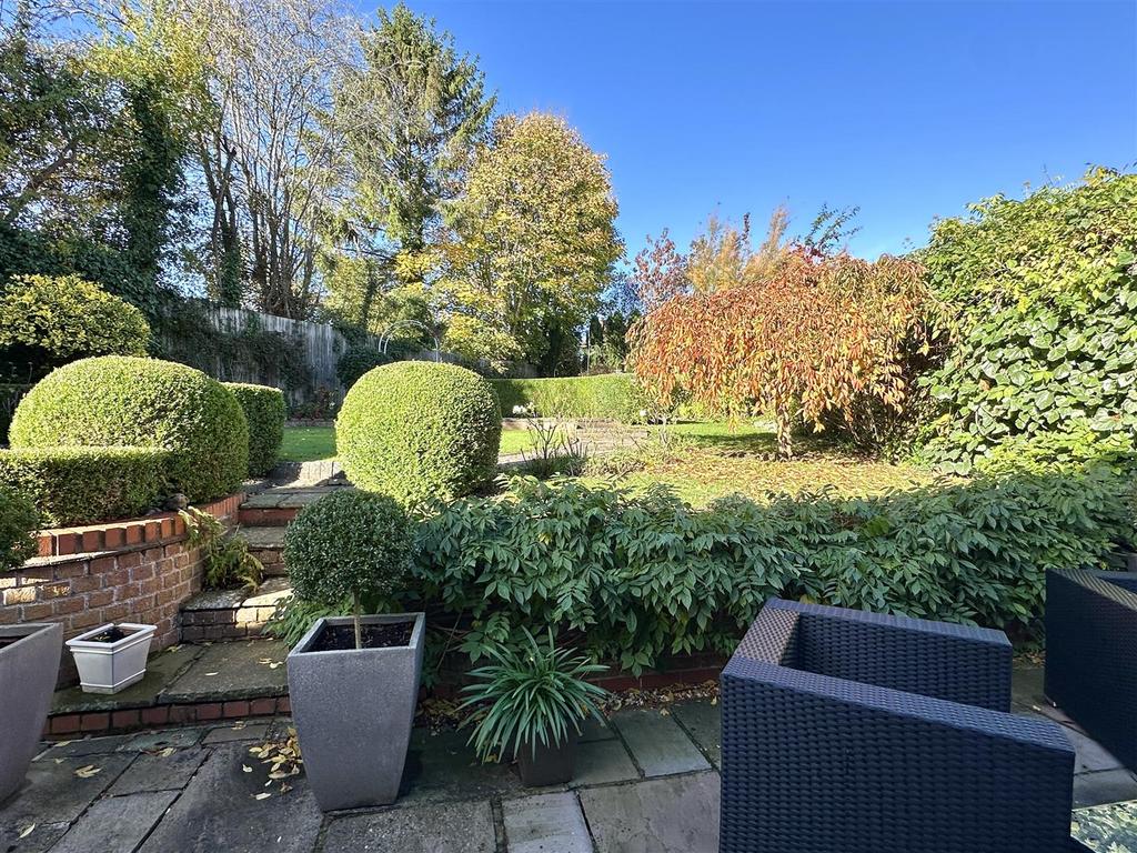 Patio/rear garden