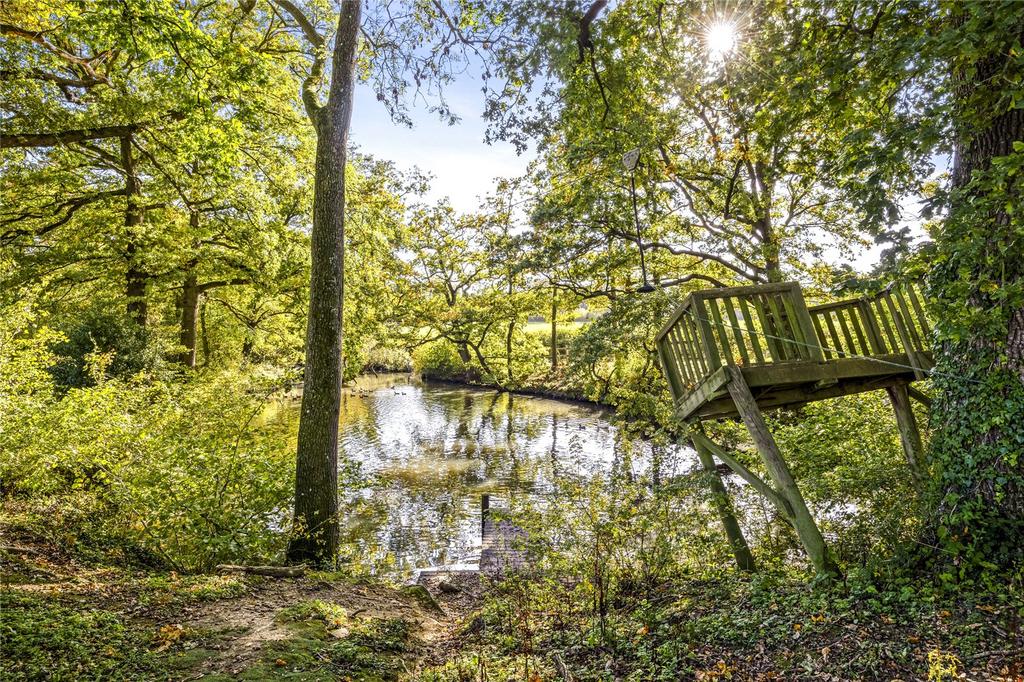 Pond