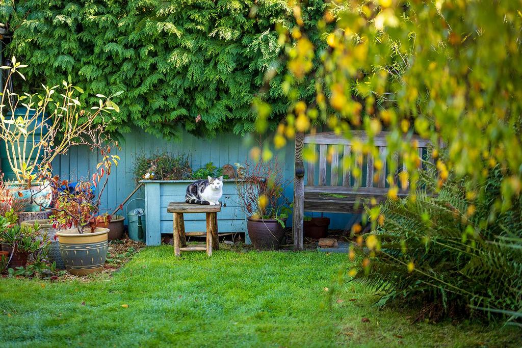 20 Eastwood Road-7.jpg