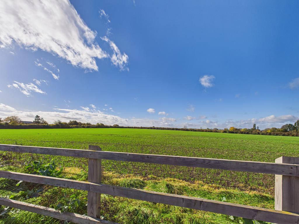 Field