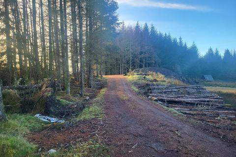 undefined, Rutting Season 8, Spean Bridge, Fort William