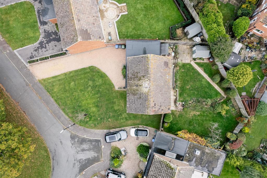 DJI 0554.jpg