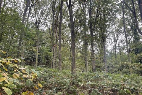 undefined, Spring Coppice, Badger WV6