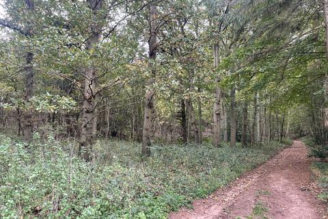 undefined, Spring Coppice, Badger WV6