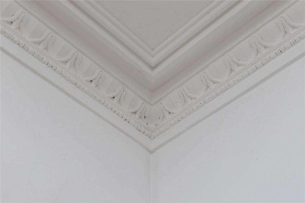 Ornate Cornicing