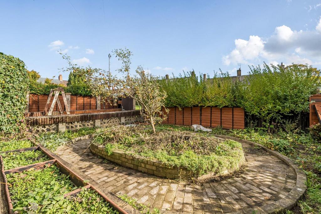 Rear yard.jpg