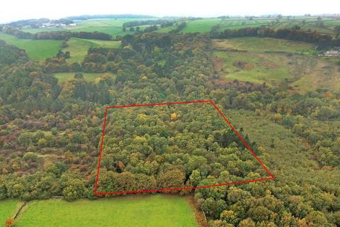undefined, Woodland off Bent Lane