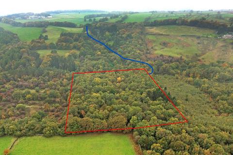 undefined, Woodland off Bent Lane