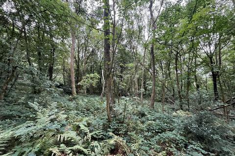 undefined, Woodland off Bent Lane