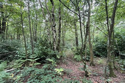 undefined, Woodland off Bent Lane