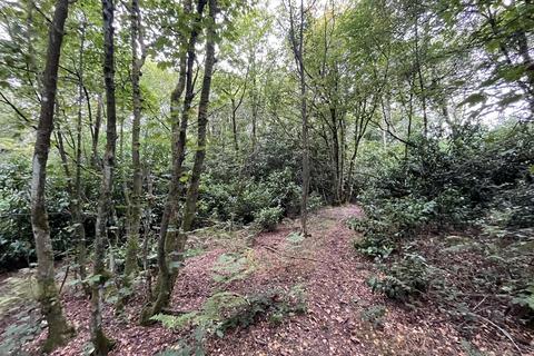 undefined, Woodland off Bent Lane