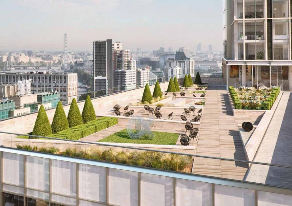Rooftop garden.jpg