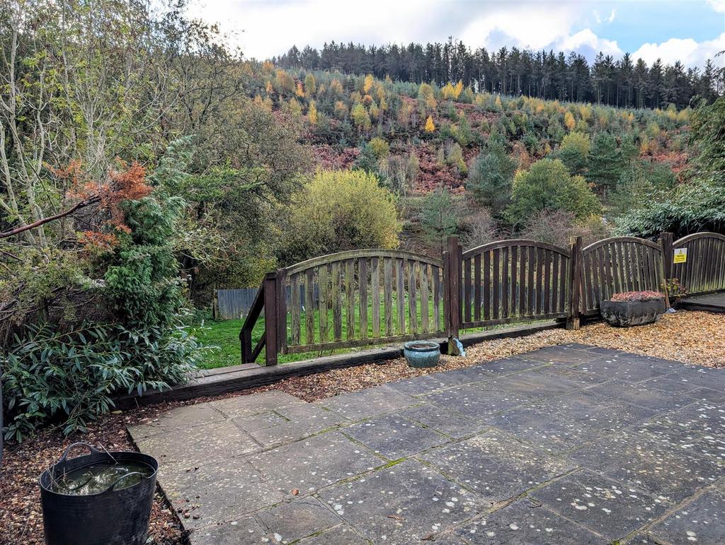 PXL 20251023 100847540.MP~2.jpg