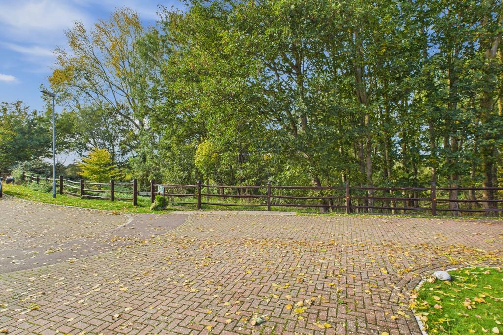 Fronting To Woodland