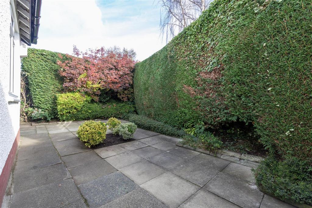 Garden 20