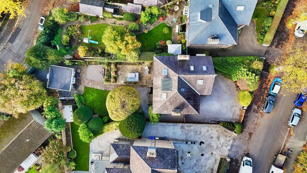 Dji 20251024103303 0139 d.jpg