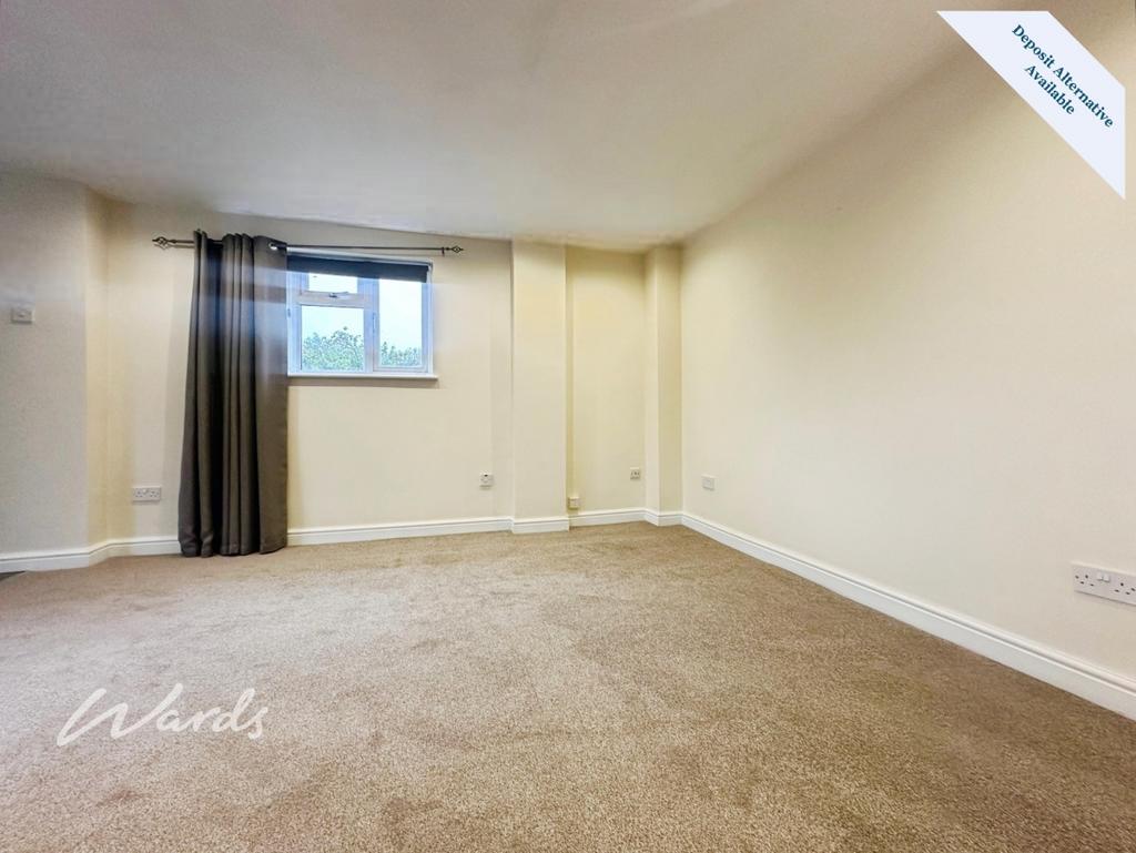 Living/Bedroom Area