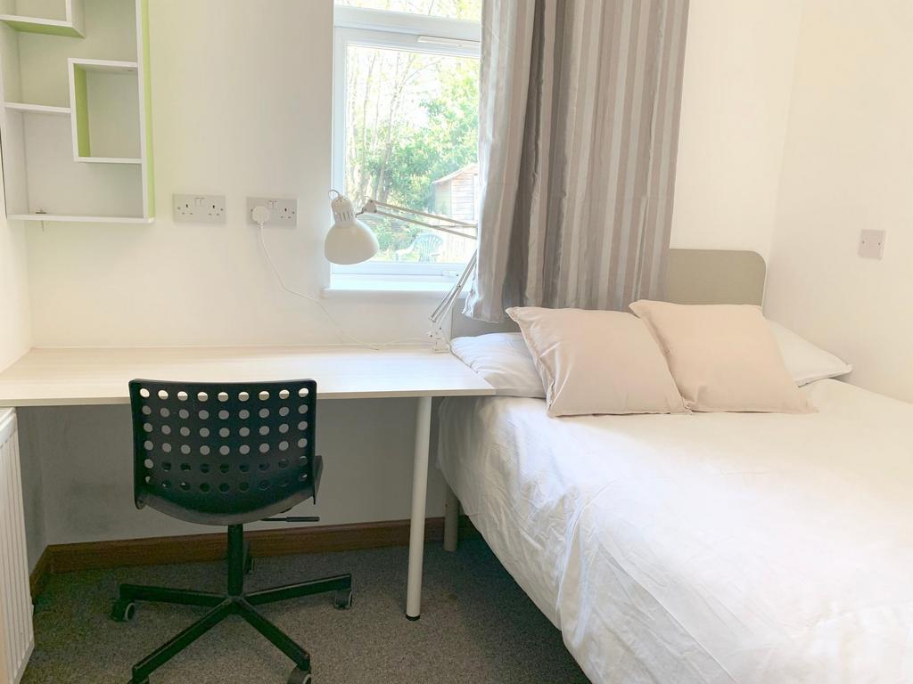 A bright and tidy single bedroom featuring a co...