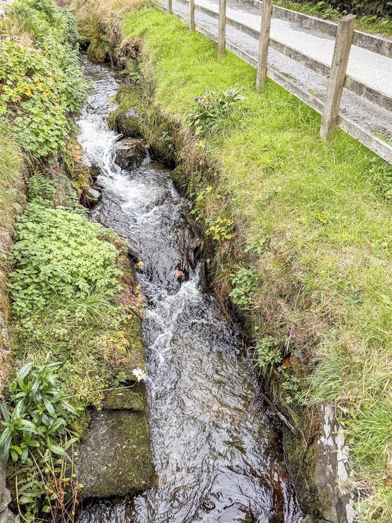 Nearby Stream