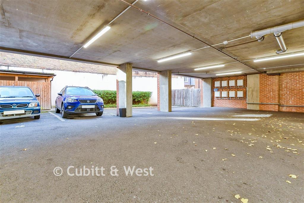 Driveway/Parking